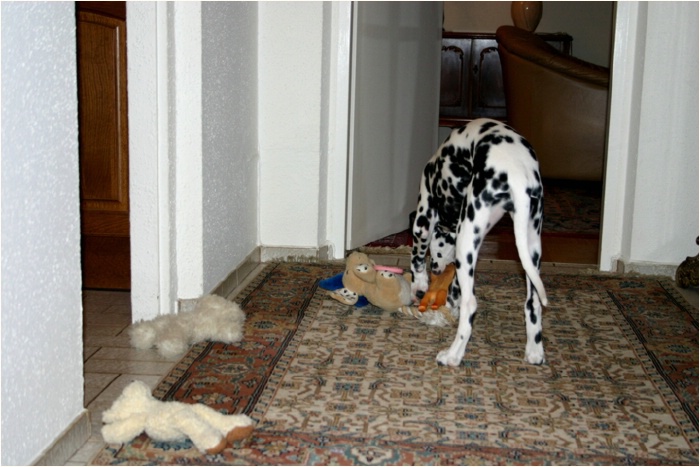 <b>so, jetzt wird geschlichtet!<b>